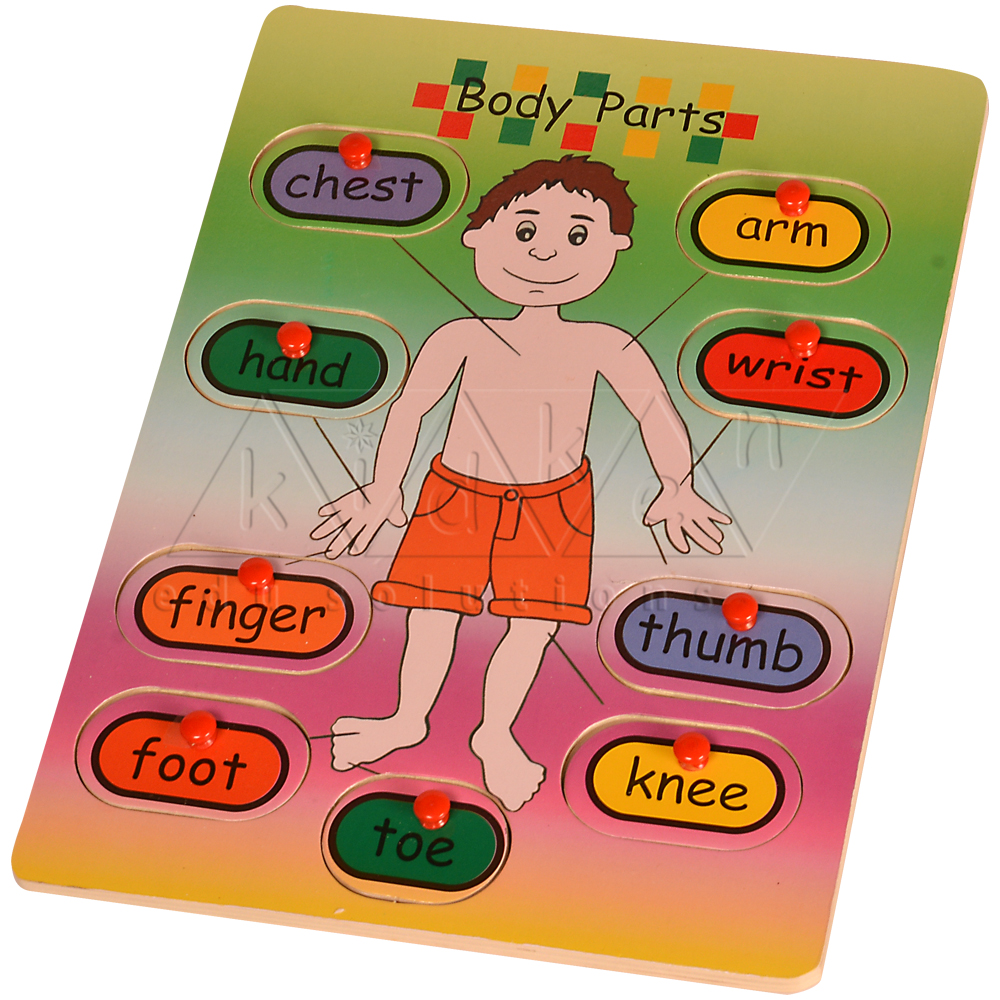 Parts of a Body Puzzle - Kidken Edu Solutions