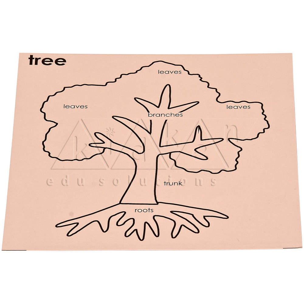 Tree card