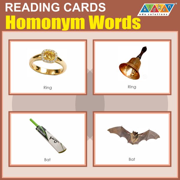 Buy Reading Cards Homonym Words at best price KidKen Edu Solutions