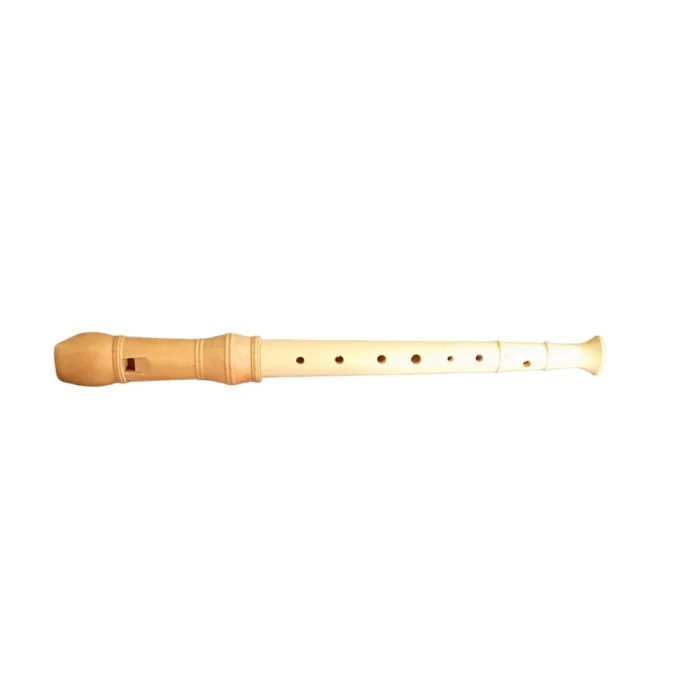 Buy Recorder (Flute) - Polished At Best Price | KidKen Edu Solutions