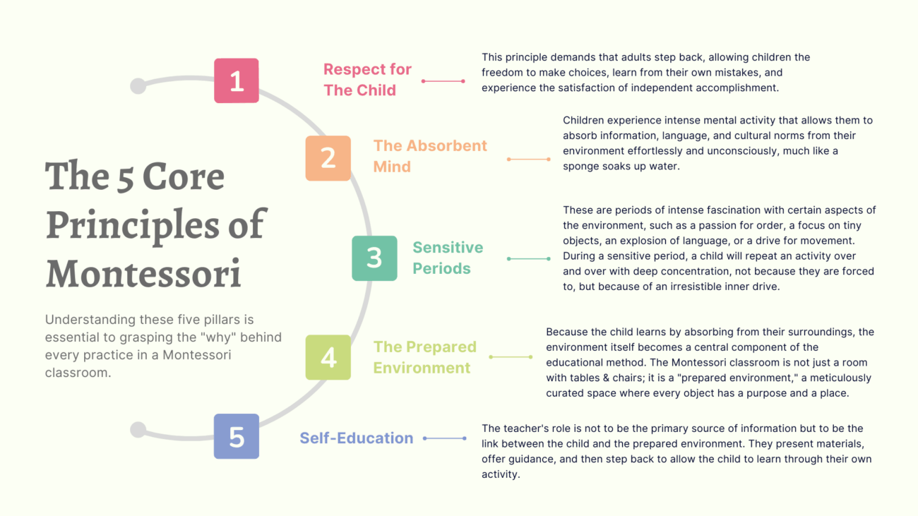 The 5 Core Principles of Montessori